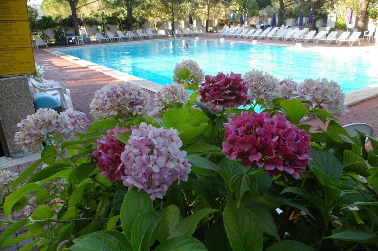 Camping Village Punta Navaccia Tuoro sul Trasimeno Exterior photo